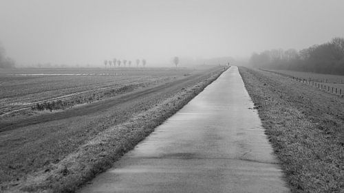 geteerte Straße am Flussufer von FHoo