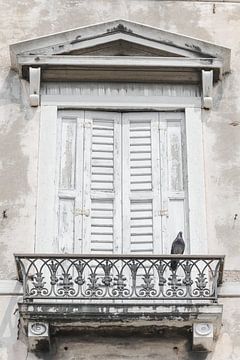 Duif op balkon in Venetië, Italië van Caroline Drijber