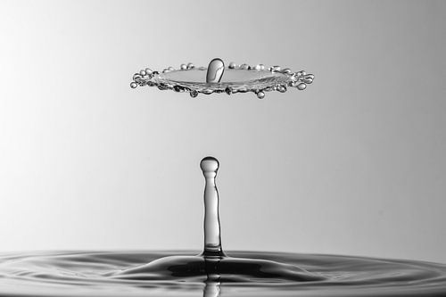 Waterdrop Photography