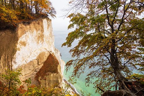 Ostseeküste auf der Insel Moen in Dänemark