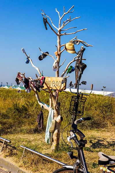 Vindboom in Noordwijk par Remco de Zwijger