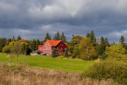 Herfstwandeling door het Thüringer Woud