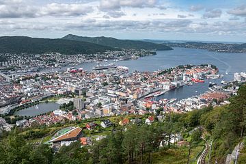 Bergen's Rooftop van Twan van Vugt