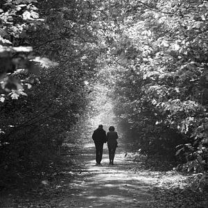 Walk in the forest sur Bas Wolfs