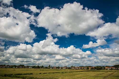 Wilmkebreekpolder