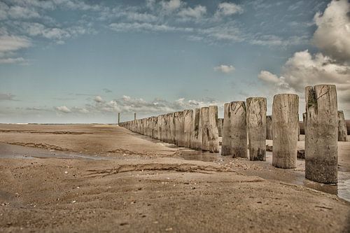 des grognes à domburg