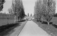 Een brug met wat bomen