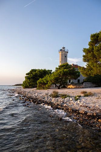 Landschap met zonsondergang, vuurtoren en dennenbos. Vir, Dalmatië, Kroatië