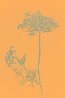 Groene bloem tegen oranje achtergrond / Botanisch