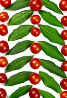 Muster aus Lorbeer und Tomaten