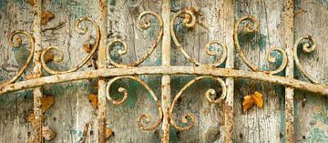 Vintage French gate with ornamental ironwork