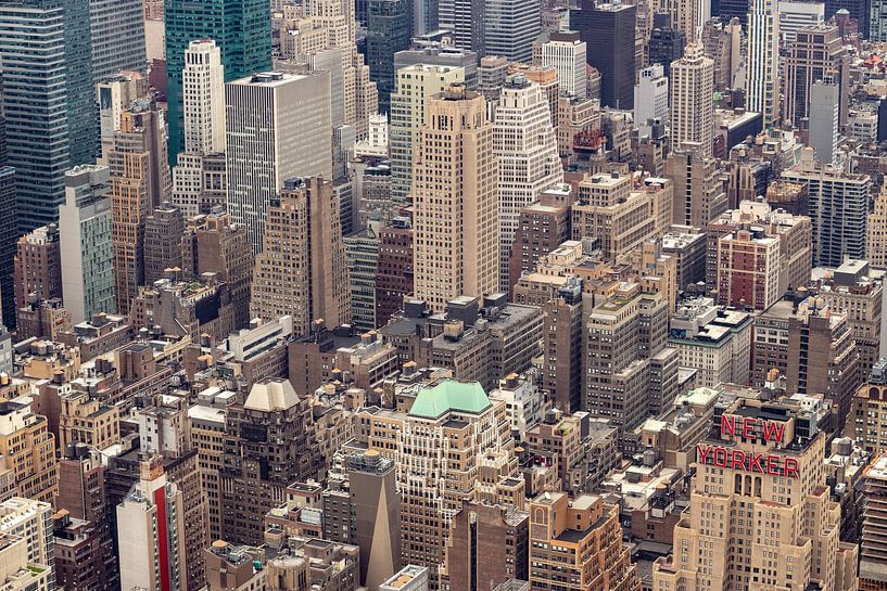 Fourmilière New York City (2) par Albert Mendelewski