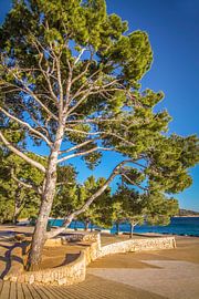 Strand Platja de Formentor, Mallorca