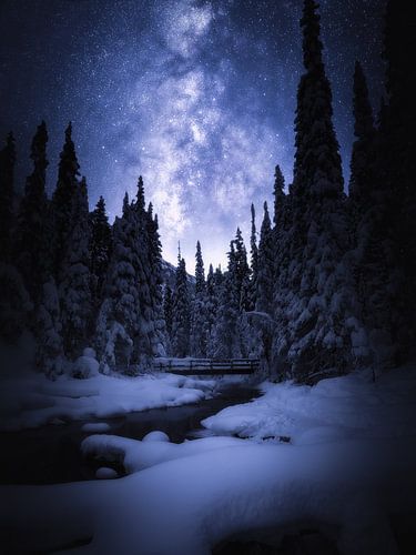 Winter-Vibes