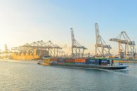 Lastkahn passiert Frachtcontainerschiffe auf dem Containerterminal im Hafen von Rotterdam von Sjoerd van der Wal Fotografie Miniaturansicht