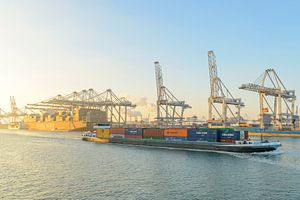 Lastkahn passiert Frachtcontainerschiffe auf dem Containerterminal im Hafen von Rotterdam