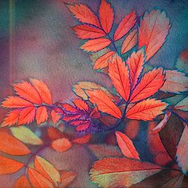 Feuerblätter von Jutta Maria Pusl