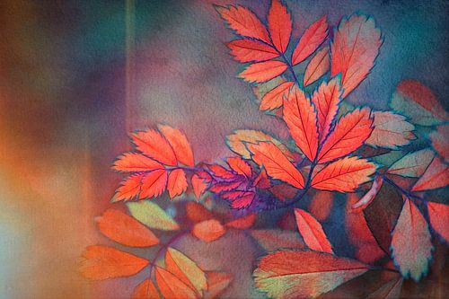 Feuerblätter von Jutta Maria Pusl