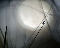 Vlieg silhouet