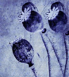 Blaue Träume