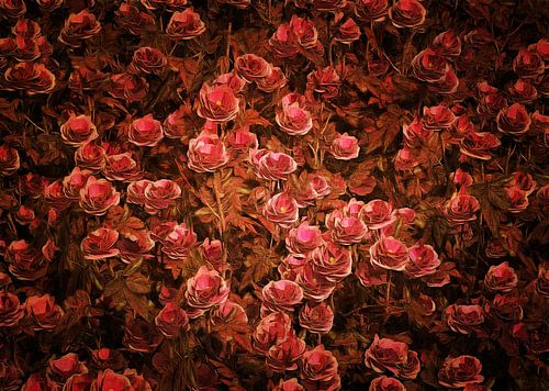 Rozen - Roze Bionica-rozen