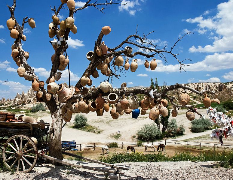 Wish tree  by Caroline Bomers