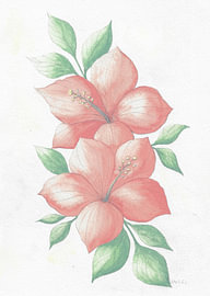 Hibiscus in watercolour painting by Sandra Steinke