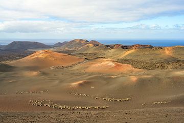 Vue sur le parc national de Timanfaya à Lanzarote sur Michael Valjak
