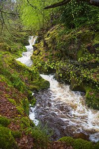 Fast-flowing river on Arran