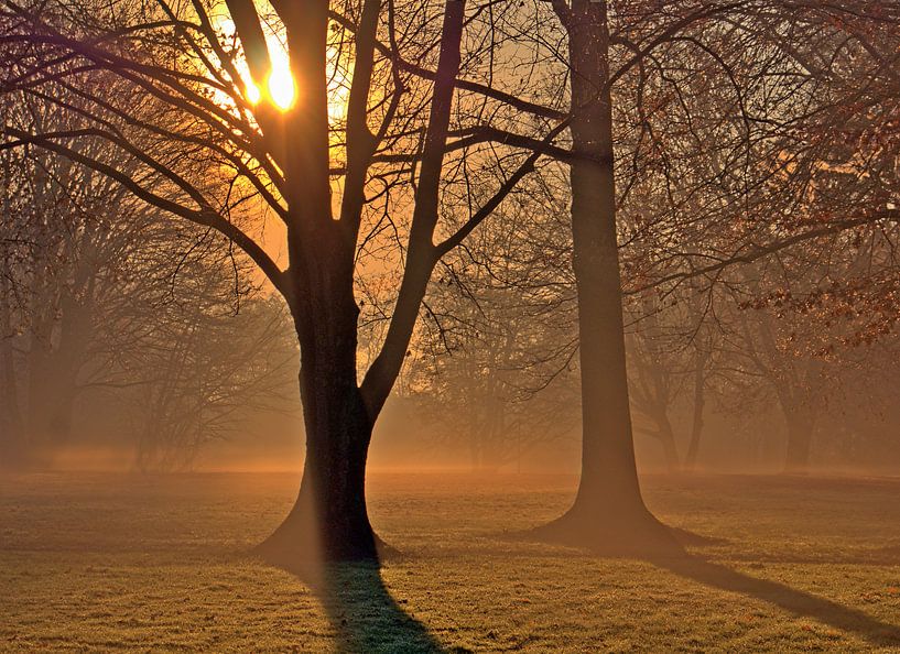 Matin 1 par Edgar Schermaul