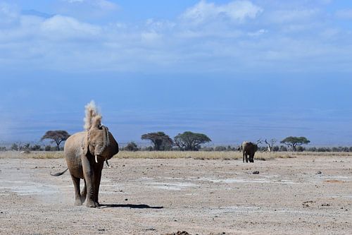 Olifanten voor de Kilimanjaro von Vincent Dekker