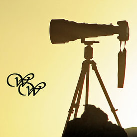 WiWo profielfoto