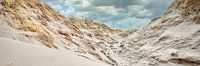 The coast with the dune in panorama during a storm by eric van der eijk thumbnail