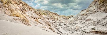 The coast with the dune in panorama during a storm