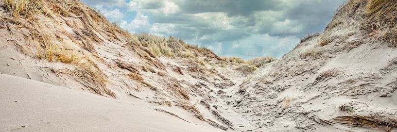 The coast with the dune in panorama during a storm by eric van der eijk