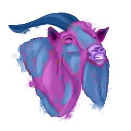 Bunte Ziege von Antiope33