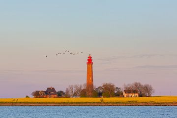Lighthouse Fluegge 41