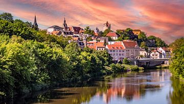 Panoramisch uitzicht op de stad Bernburg in Saksen-Anhalt van Animaflora PicsStock