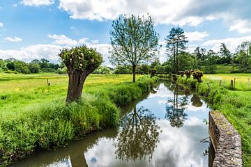 De Geul bij de Volmolen in Epen van Herman Coumans