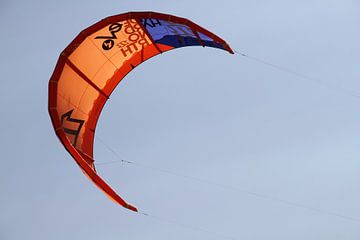 kite by Diego van der Veen