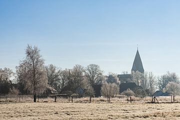 Zicht op de kerk in Biestow met weide en bomen in de winter van Rico Ködder