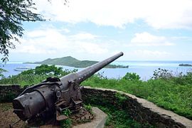 Poo Poo Uri Roa cannons von Frank's Awesome Travels