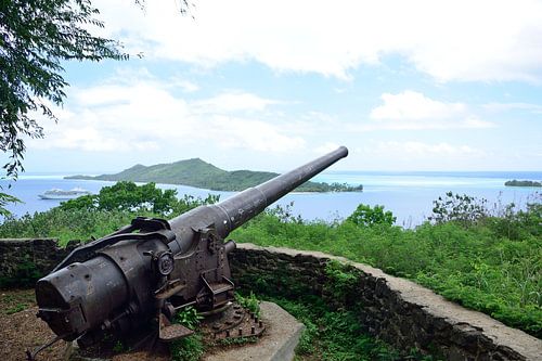Poo Poo Uri Roa cannons