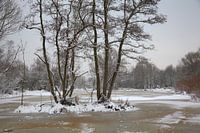 Winterlandschap
