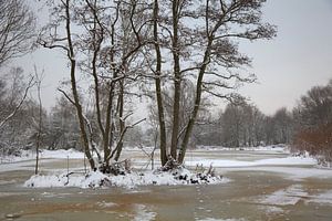 Winterlandschaft von Vanessa D.