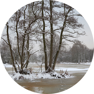 Winterlandschap van Vanessa D.