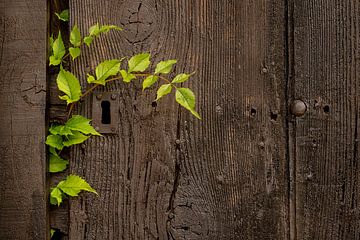 The lock by Halma Fotografie