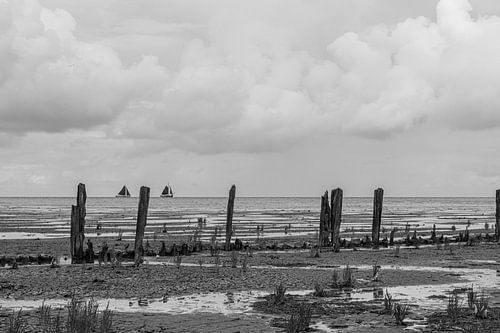 Het wad in zwart - wit van Paul Veen