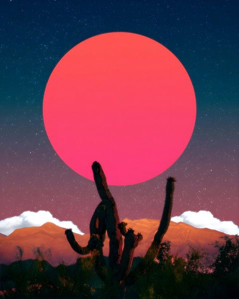 Woestijncactus van Gapran Art