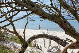 Ostsee: Darß - Weststrand von t.ART